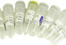 CAS:88050-17-3,Fmoc-L-羥脯氨酸,N-芴甲氧羰基-L-羥脯氨酸,Fmoc-Hyp_上海陽(yáng)光試劑 _阿儀網(wǎng)