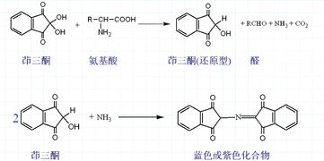 茚三酮的應用領域
