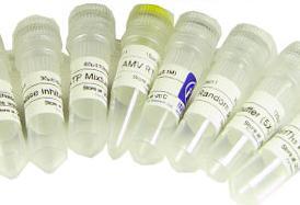 L-羥脯氨酸的生產 從天然提取到生物合成的現代工業流程